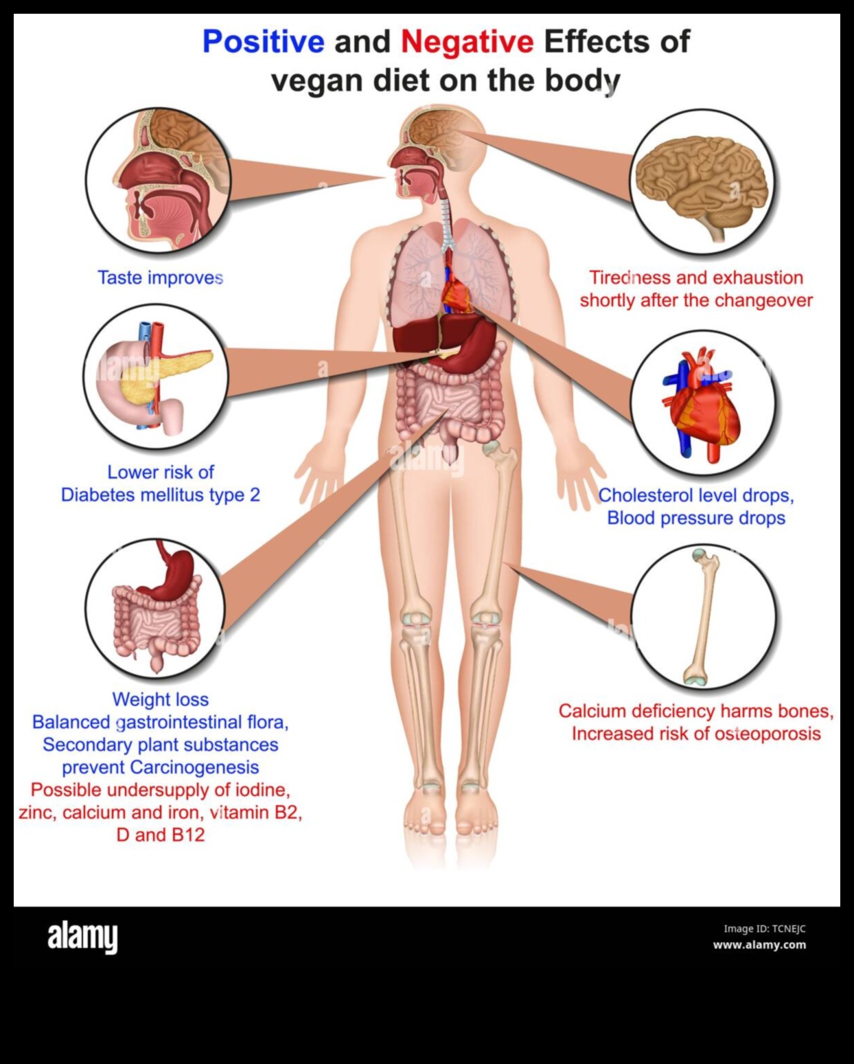 Vegānisms un pozitīvs ķermeņa tēls: patmīlības kultivēšana