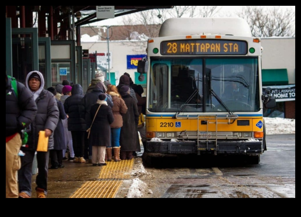 Autobusu pieturas un ne tikai: sabiedriskā transporta bezgalīgs izpētes potenciāls