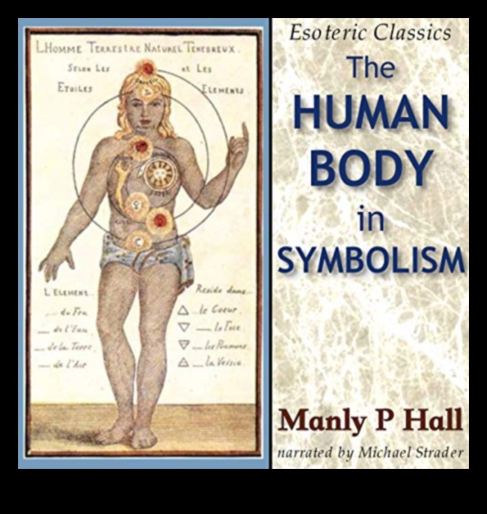 Pazīmes ādā: simbolisko hroniku izpēte