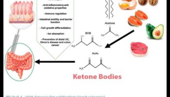 Keto un iekaisums: holistiska perspektīva