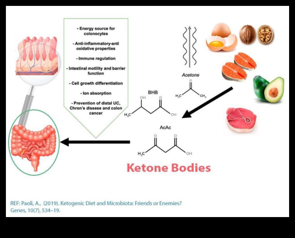 Keto un iekaisums: holistiska perspektīva