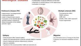 Keto un autoimūnie stāvokļi: saišu izpēte