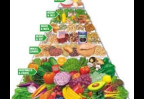 Īstermiņa diētu izpēte veģetāriešiem un vegāniem